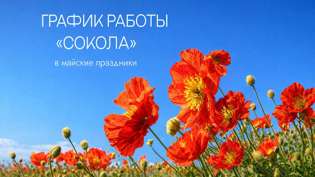 1777387072728-019dd485-50b1-72e7-a9ef-fc882ae36e16.jpg